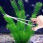 Aquascaping